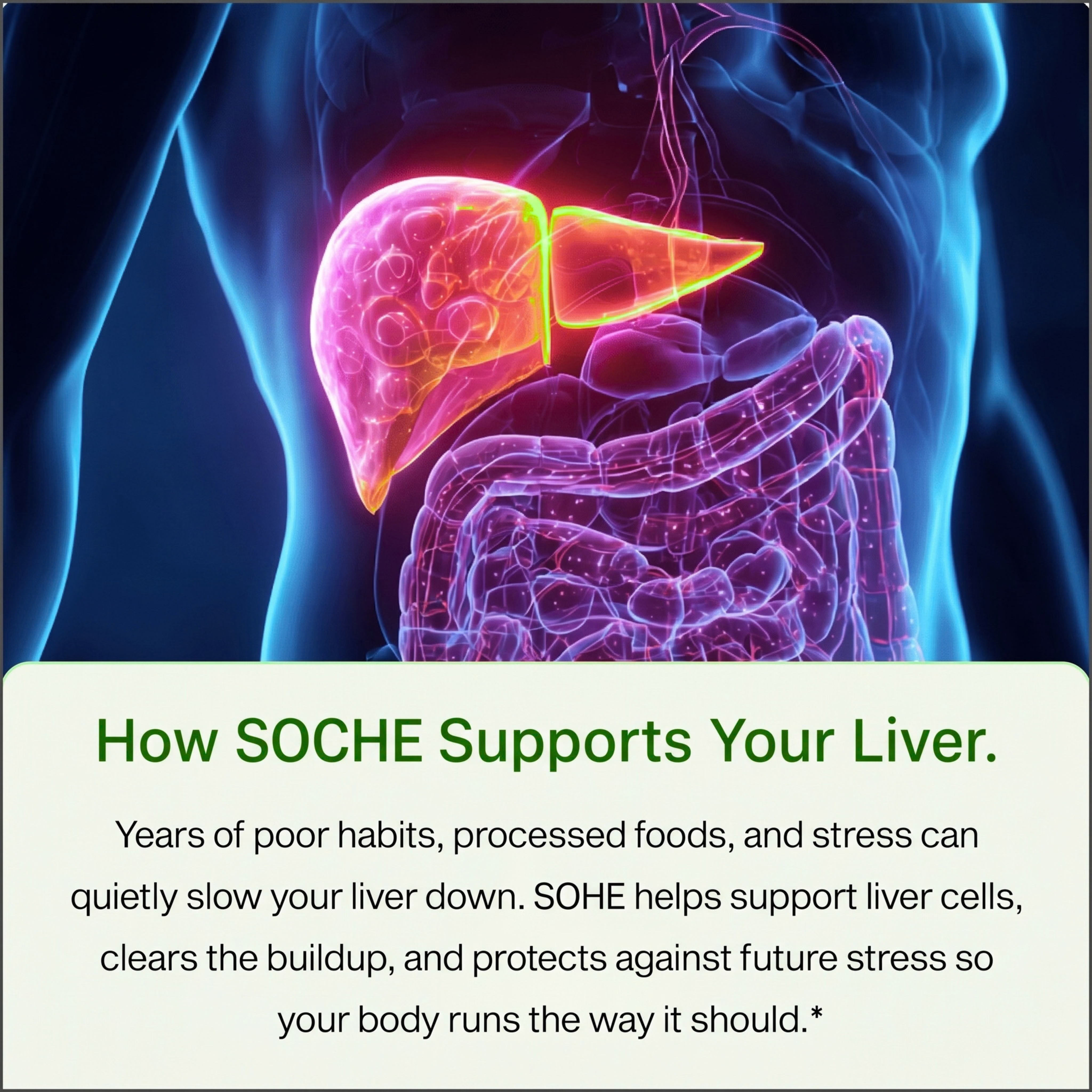Soche® Milk Thistle Support