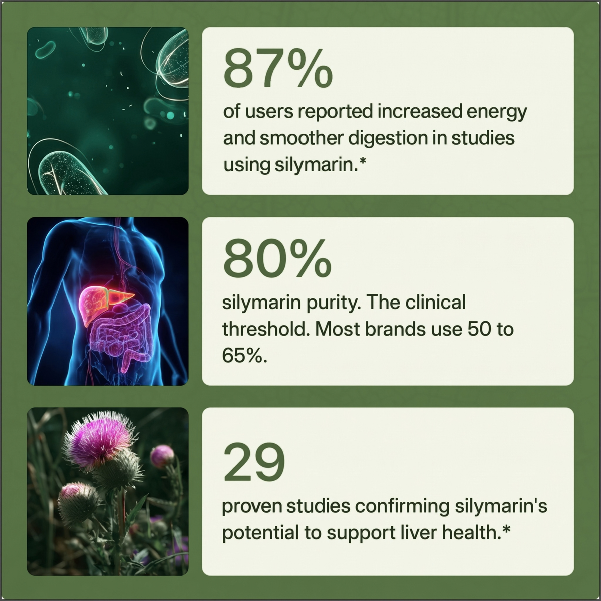 Soche® Liver Restoring Milk Thistle Support